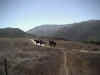 Mugu04.jpg (63789 bytes)